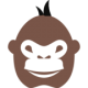 monkey really